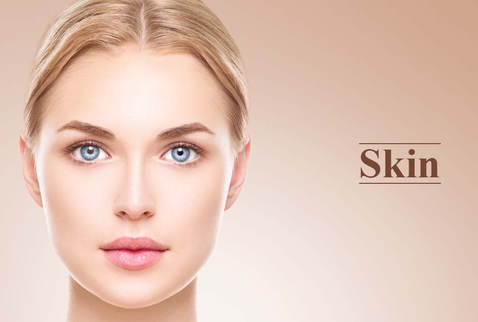 Skin